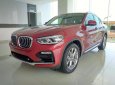 BMW X4 xDrive20i 2018 - Bán BMW X4 tại Đà Nẵng - mới chưa đăng ký