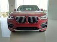 BMW X4 xDrive20i 2018 - Bán BMW X4 tại Đà Nẵng - mới chưa đăng ký