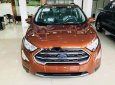 Ford EcoSport 2019 - Cần bán xe Ford EcoSport đời 2019, giá chỉ 521 triệu