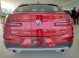 BMW X4 xDrive20i 2018 - Bán BMW X4 tại Đà Nẵng - mới chưa đăng ký