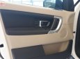 LandRover Discovery Sport HSE 2018 - Bán Landrover Discovery Sport HSE 2.0 240 PS, mới 100%