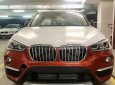 BMW X1 sDrive18i 2018 - Bán BMW X1 tại Đà Nẵng - Xe chưa đăng ký