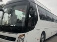 Hyundai Universe Premium 47 ghế Châu Âu 2021 - Bán xe Hyundai Universe 47 chỗ  màu trắng