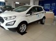 Ford EcoSport Trend 2019 - Xe giá tốt Ford Ecosport Trend AT đời 2019, đủ màu, giao ngay, xe nhập, 555 triệu, trả góp 80%, 0799 526 689