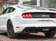 Ford Mustang GT 5.0 Premium  2019 - Ford Mustang GT 5.0 Premium 2019 duy nhất 1 xe có sẵn và giao ngay, giá tốt nhất thị trường. Liên hệ: 0868 93 5995