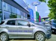 Ford EcoSport Titanium 1.5 AT 2015 - Bán Ford Eco Sport Titanium 1.5 AT 2015 màu xám (ghi)