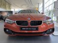 BMW 4 Series 420i Gran Coupe Sport 2019 - BMW 420i Gran Coupe 2019 vừa cập cảng, giao xe ngay