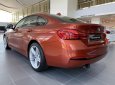 BMW 4 Series 420i Gran Coupe Sport 2019 - BMW 420i Gran Coupe 2019 vừa cập cảng, giao xe ngay