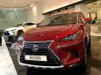 Lexus NX 300 2019 - Cần bán Lexus NX 300 năm 2019, màu đỏ, nhập khẩu nguyên chiếc