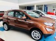 Ford EcoSport Trend 2019 - Bán xe Ford EcoSport Trend năm sản xuất 2019, màu trắng