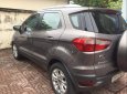 Ford EcoSport   2014 - Bán Ford EcoSport 2014, màu xám, nhập khẩu 