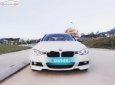 BMW 3 Series 320i 2013 - Bán xe BMW 3 Series 320i đời 2013, màu trắng, xe nhập  