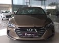 Hyundai Elantra 2.0 AT 2018 - Cần bán xe Hyundai Elantra 2.0 AT năm sản xuất 2018, màu nâu