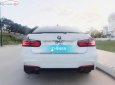 BMW 3 Series 320i 2013 - Bán xe BMW 3 Series 320i đời 2013, màu trắng, xe nhập  