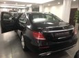 Mercedes-Benz E class  E250 2017 - Bán ô tô Mercedes E250 năm sản xuất 2017, xe một chủ từ đầu, giữ gìn như mới