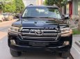 Toyota Land Cruiser VX8 2019 - Bán xe Toyota Land Cruiser Vx8 2019, màu đen, nhập khẩu nguyên chiếc