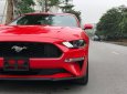 Ford Mustang Ecoboost Premium  2019 - Giao ngay Ford Mustang Premium 2019 duy nhất 1 xe có sẵn giao ngay trên thị trường giá tốt, liên hệ sơn: 0868 93 5995