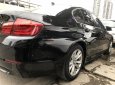 BMW 5 Series   2011 - Bán xe BMW 523i nhập khẩu Euro