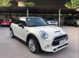 Mini Cooper 2015 - Cần bán xe Mini Cooper đời 2015, hai màu, nhập khẩu chính chủ