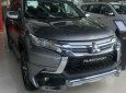 Mitsubishi Pajero 2019 - Bán ô tô Mitsubishi Pajero năm sản xuất 2019, màu xám, xe nhập