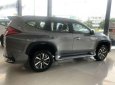 Mitsubishi Pajero 2019 - Bán ô tô Mitsubishi Pajero năm sản xuất 2019, màu xám, xe nhập