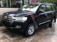 Toyota Land Cruiser  VX 4.6 V8  2019 - Bán Toyota Land Cruiser VX 4.6 V8 2019, màu đen, nhập khẩu