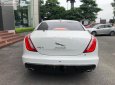 Jaguar XJ series L Portfolio 2019 - Bán ô tô Jaguar XJ series L Portfolio đời 2019, màu trắng, xe nhập