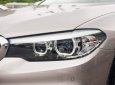 BMW 5 Series    520i 2019 - Bán BMW 520i 2019 nhập khẩu nguyên chiếc tại Đức, mới 100%, giá tốt, nhiều ưu đãi, quà tặng hấp dẫn