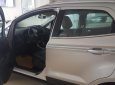 Ford EcoSport 2019 - Ecosport giá rẻ nhất thị trường, gọi ngay 0865660630 để được tư vấn