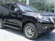 Toyota Land Cruiser   2018 - Cần bán gấp Toyota Land Cruiser đời 2018, màu đen, nhập khẩu nguyên chiếc