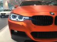 BMW 3 Series 320i 2018 - Bán ô tô BMW 3 Series 320i năm sản xuất 2018, nhập khẩu