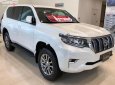 Toyota Prado VX 2.7L 2019 - Cần bán Toyota Prado VX 2.7L năm 2019, màu trắng, nhập khẩu Nhật Bản