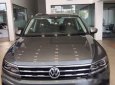 Volkswagen Tiguan   2019 - Bán Volkswagen Tiguan 2019, màu xám, nhập khẩu