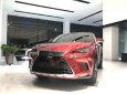 Lexus NX  300  2019 - Bán xe Lexus  NX 300 sản xuất 2019, màu đỏ, nhập khẩu