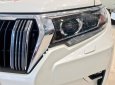 Toyota Prado VX 2.7L 2019 - Cần bán Toyota Prado VX 2.7L năm 2019, màu trắng, nhập khẩu Nhật Bản