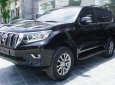 Toyota Land Cruiser   2018 - Cần bán gấp Toyota Land Cruiser đời 2018, màu đen, nhập khẩu nguyên chiếc