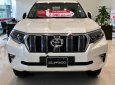 Toyota Prado VX 2.7L 2019 - Cần bán Toyota Prado VX 2.7L năm 2019, màu trắng, nhập khẩu Nhật Bản