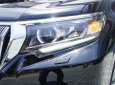 Toyota Land Cruiser   2018 - Cần bán gấp Toyota Land Cruiser đời 2018, màu đen, nhập khẩu nguyên chiếc