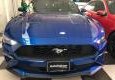 Ford Mustang 2.3L  2019 - Ford Mustang 2.3L Ecoboost nhập Mỹ, mới 100%