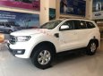 Ford Everest    Ambiente 2.0 4x2 AT  2019 - Bán xe Ford Everest Ambiente 2.0 4x2 AT 2019, màu trắng