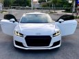 Audi TT 2015 - Cần bán lại xe Audi TT sản xuất 2015, màu trắng nhập