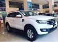 Ford Everest    Ambiente 2.0 4x2 AT  2019 - Bán xe Ford Everest Ambiente 2.0 4x2 AT 2019, màu trắng