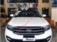 Ford Everest    Ambiente 2.0 4x2 AT  2019 - Bán xe Ford Everest Ambiente 2.0 4x2 AT 2019, màu trắng