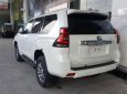 Toyota Prado VX 2.7L 2019 - Bán xe Toyota Prado VX 2.7L năm 2019, màu trắng, nhập khẩu Nhật Bản