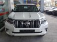 Toyota Prado VX 2.7L 2019 - Bán xe Toyota Prado VX 2.7L năm 2019, màu trắng, nhập khẩu Nhật Bản