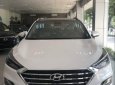 Hyundai Tucson  2.0 2019 - Bán Hyundai Tucson sản xuất 2019, màu trắng, nhập khẩu
