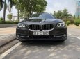 BMW 5 Series 520i 2016 - Cần bán gấp BMW 5 Series 520i sản xuất năm 2016, màu nâu