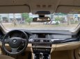 BMW 5 Series 520i 2016 - Cần bán gấp BMW 5 Series 520i sản xuất năm 2016, màu nâu