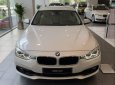 BMW 3 Series    320i 2018 - Bán BMW 3 Series 320i đời 2018, màu trắng, nhập khẩu Đức