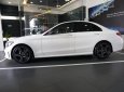 Mercedes-Benz C class 2019 - Giá xe Mercedes C300 AMG 2019: Thông số, giá lăn bánh (11/2019) giảm tiền mặt, tặng bảo hiểm và phụ kiện chính hãng